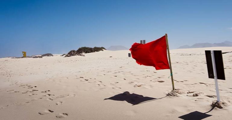 5 Red Flags of Startups: Wasabi Ventures Part 6/6