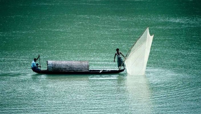 Market Insight: Bangladesh Fisheries Sector