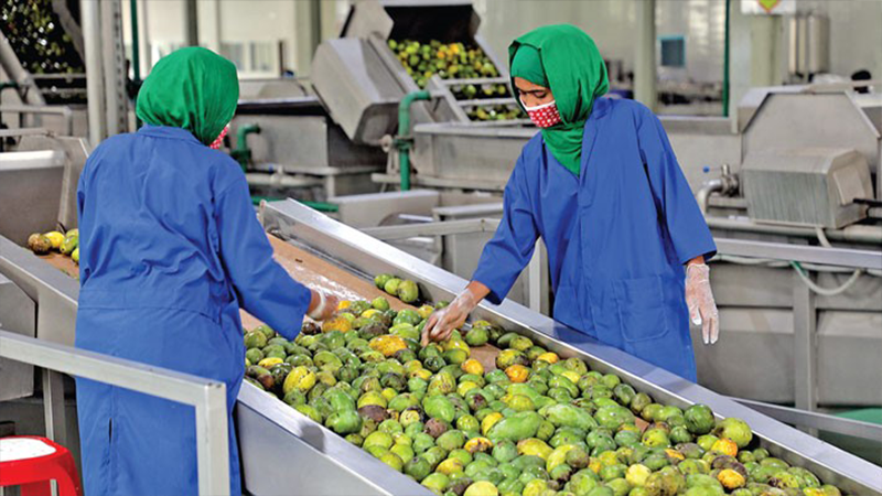 Fruits Processing in Bangladesh