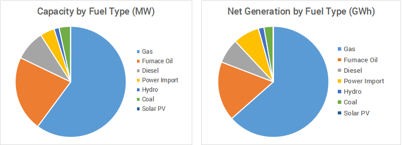 Capacity and Net Generation by fuel type - Bangladesh Power Sector filling demand