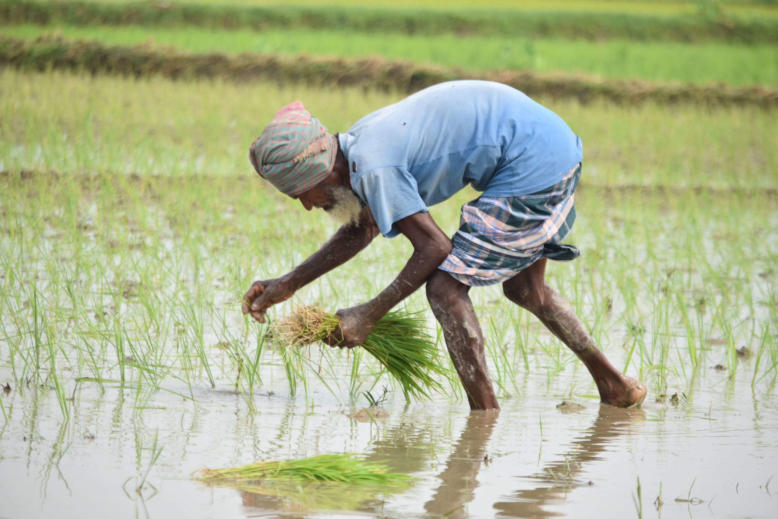 Deep Dive into the Challenges across the Agriculture Value Chains of Bangladesh