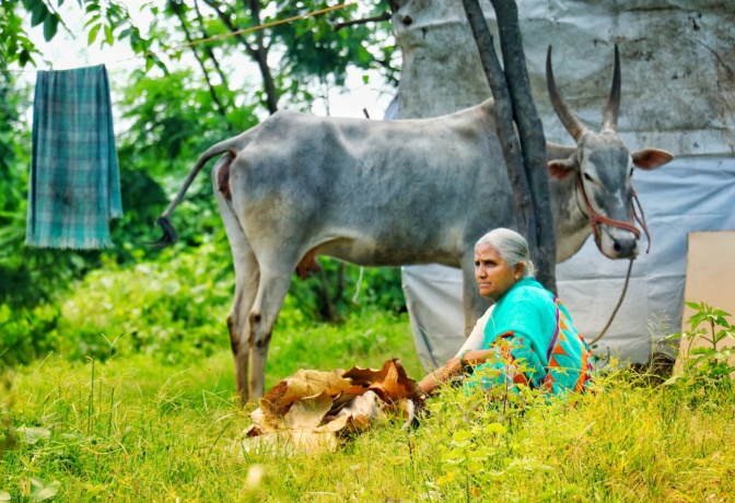 Impact of Coronavirus on Livelihoods: Rural and Low-Income Population of Bangladesh