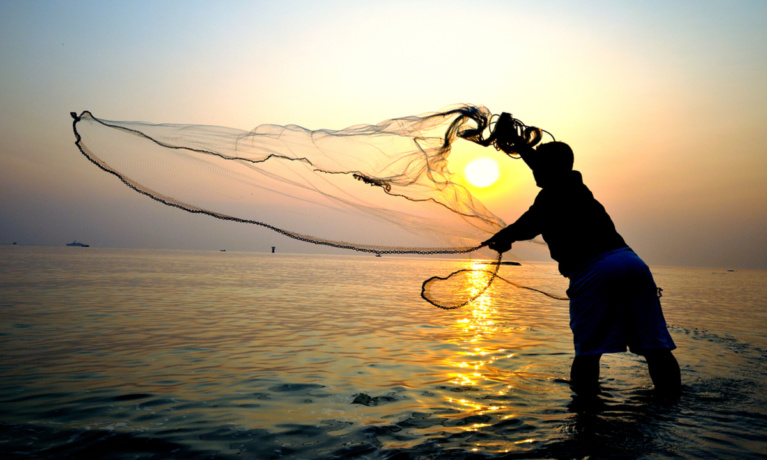 How Has the Covid-19 Pandemic Impacted the Fisheries Sector in Bangladesh?