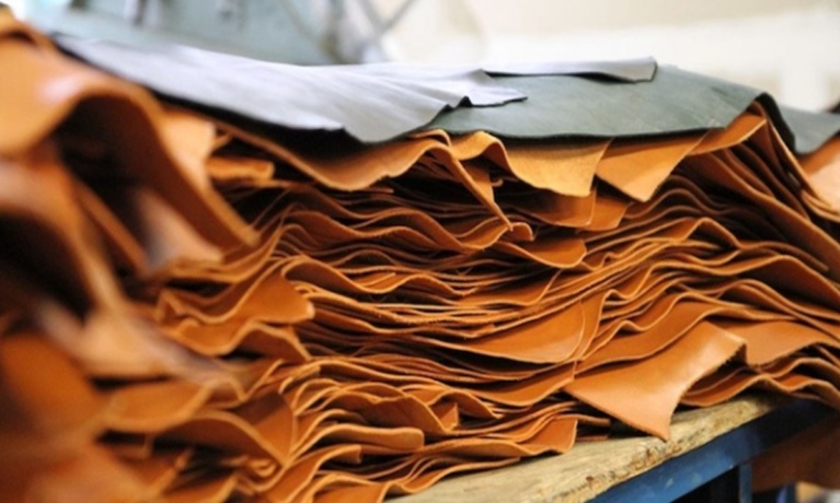 Thick Hides .. But For How Long? – Struggles of the Bangladesh Leather Industry