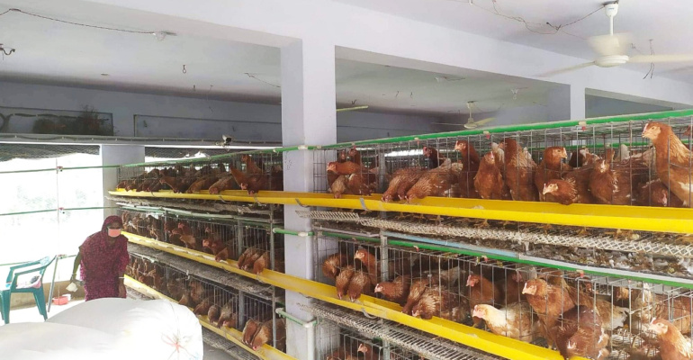 PoultryTechBangladesh