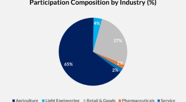 Participation Composition By Industry