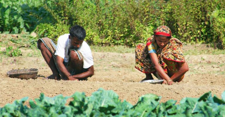 Assessing The Impact of Gender Integration and Women Empowerment in Agriculture
