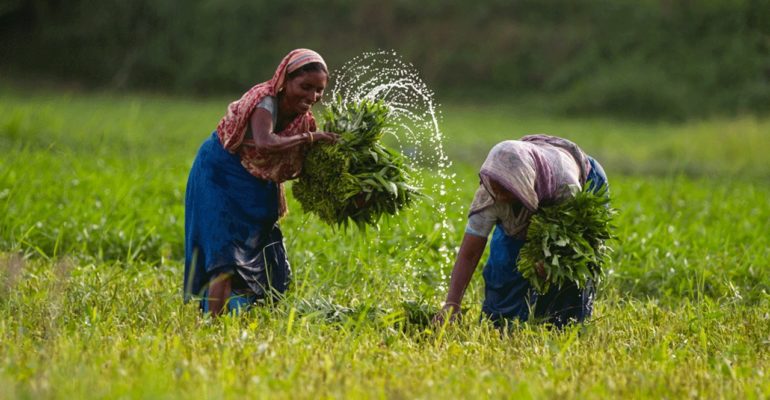 Agricultural Productivity in Bangladesh and Green Revolution: Where Are We Heading?