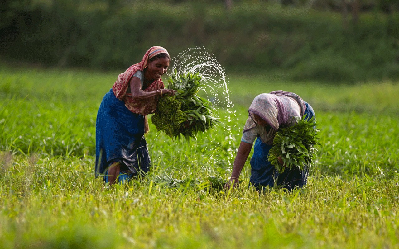 Agricultural Productivity in Bangladesh and Green Revolution: Where Are We Heading?