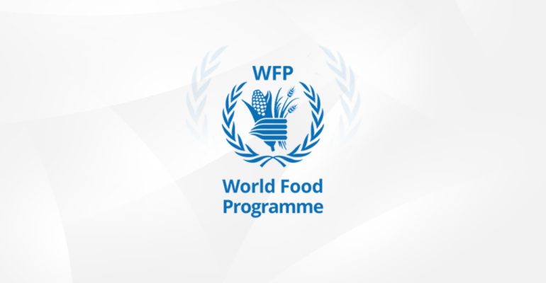 LightCastle Signs an Agreement with WFP to Assess The Digital Financial Ecosystem and Improve Financial Inclusion for the Poor and Vulnerable Women
