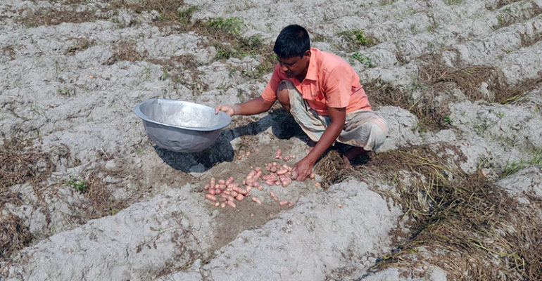 Paving The Way for A Sustainable Food System in Bangladesh By Implementing The Farm to Fork Strategy