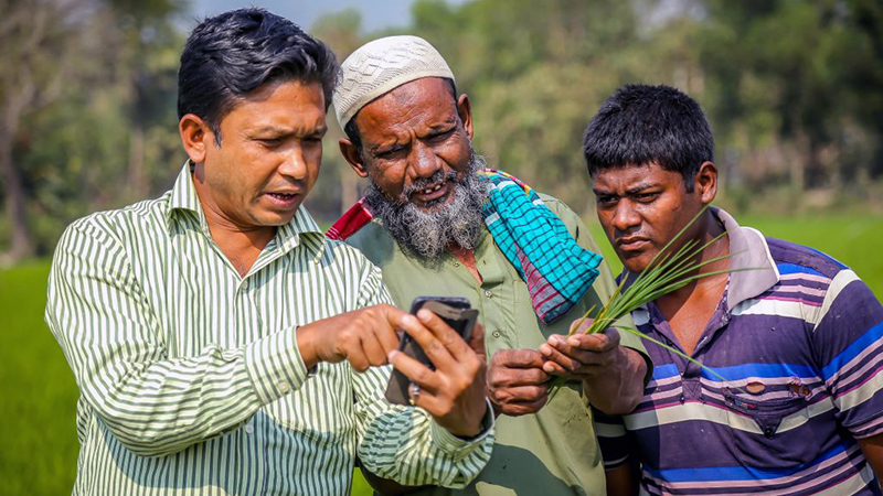 Innovation in Digital Banking to Build Financial Resilience for Marginalized Communities