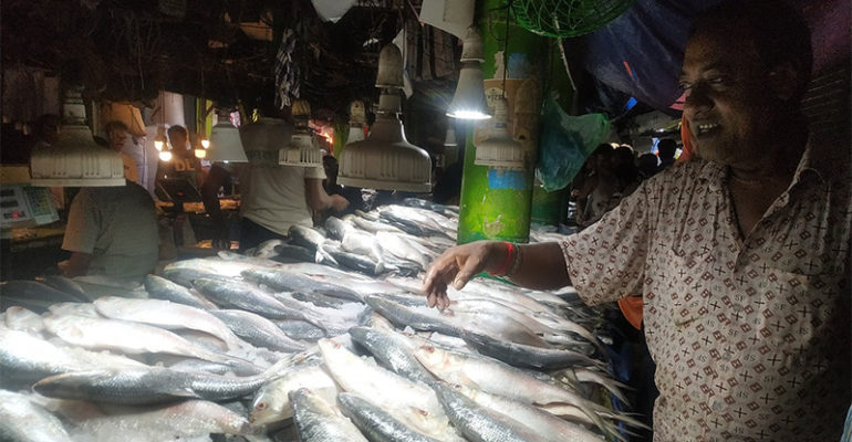 Interpreting Market Systems and Consumer Dynamics in the Fish Sector of Bangladesh