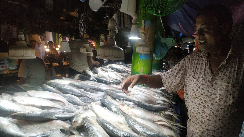 Interpreting Market Systems and Consumer Dynamics in the Fish Sector of Bangladesh