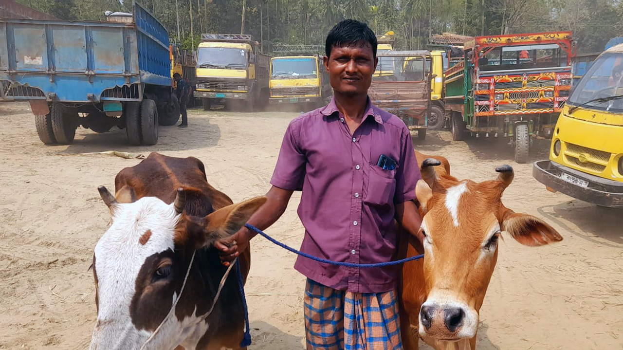 CMSME-blended-capital-Bangladesh-lightcastle-Capacity-development-two-cows-cattle-market-
