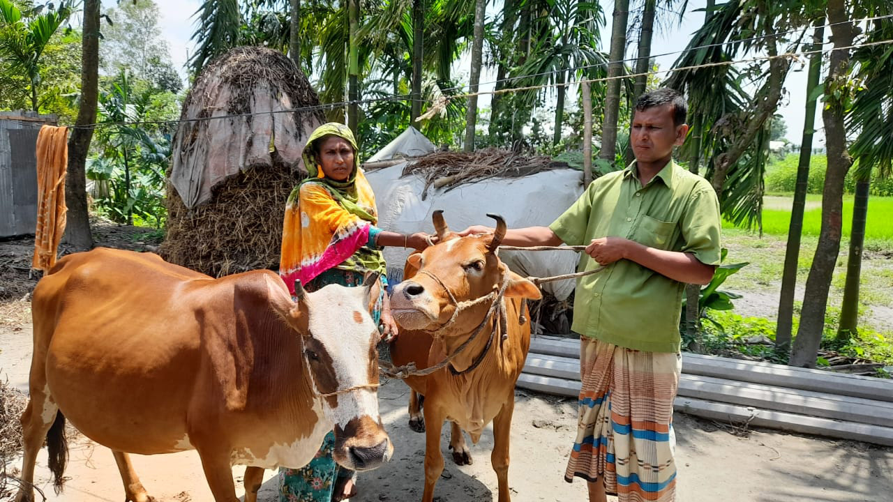 blended-capital-CMSME-Bangladesh-lightcastle-Zorina Begum handing over her two cows via which she earned an ROI of 8% in 3 months