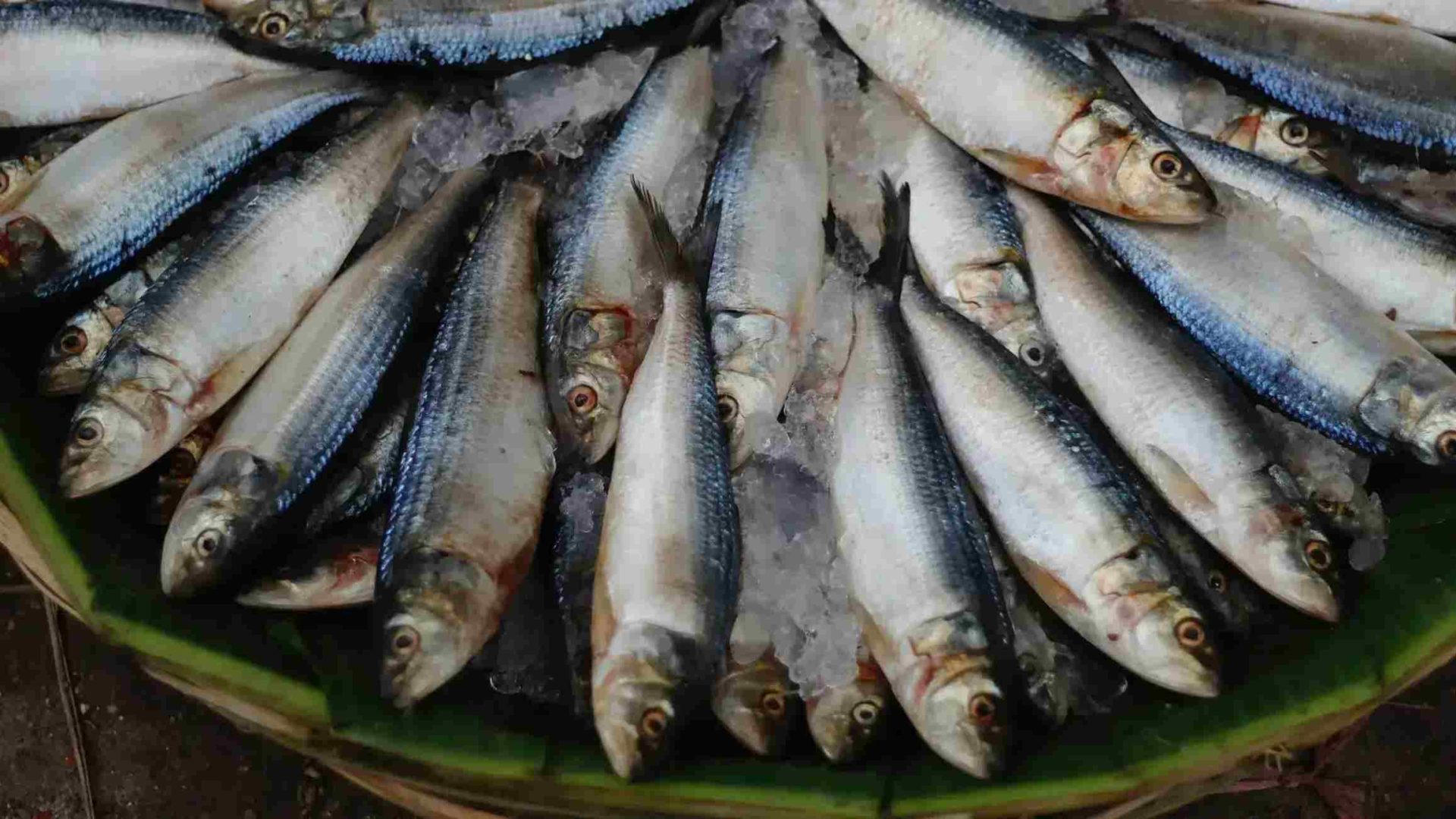 Analyzing the Growth Opportunities and Systemic Bottlenecks in Bangladesh Aquaculture