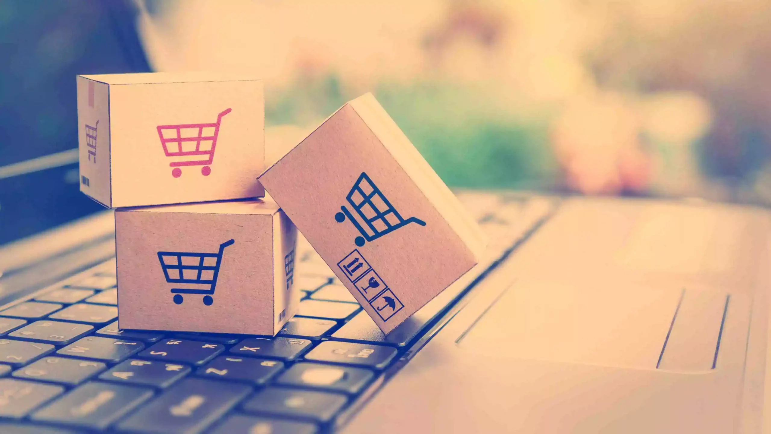 E-commerce Logistics: The Pivotal Element in E-commerce Success