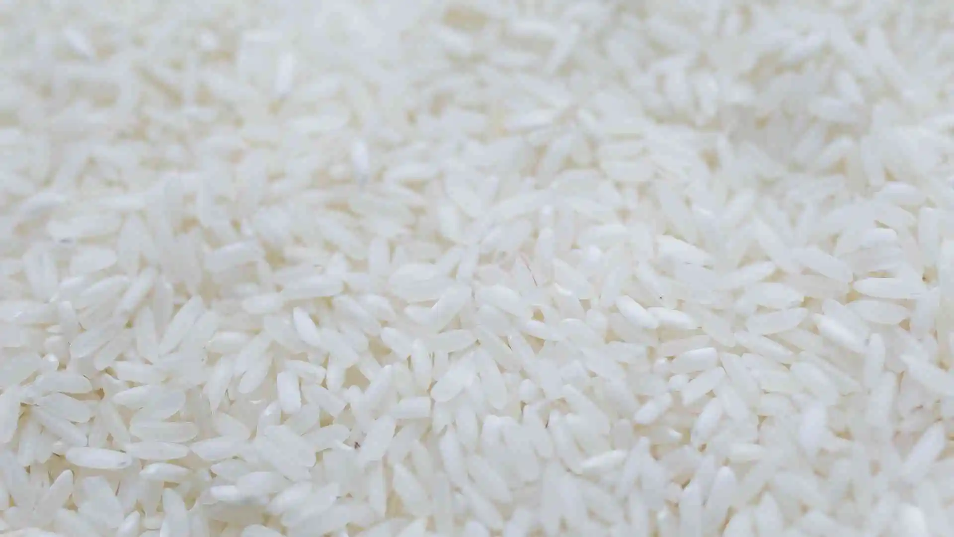 Bangladesh Rice Industry: Essential for Rural Development
