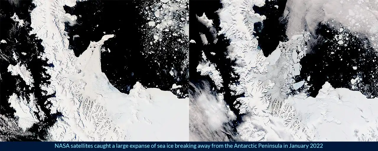 NASA satellites caught a large expanse of sea ice breaking away from the Antarctic Peninsula in January 2022