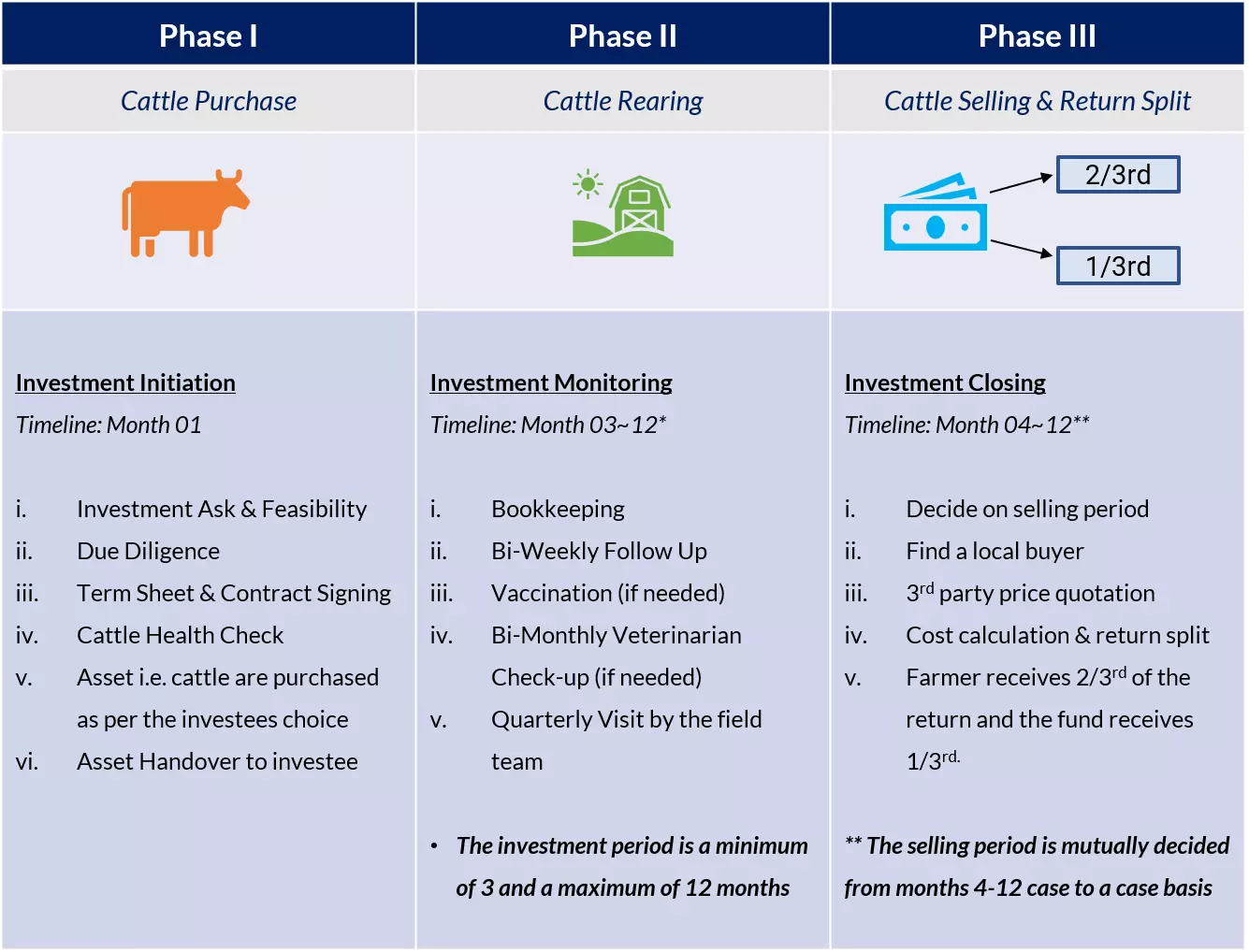 Phases of Cattle Investment