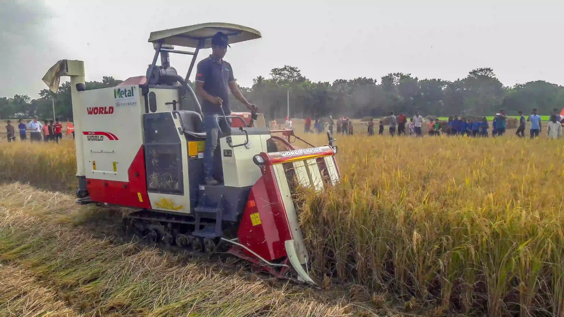 Mechanization: Key to Sustainable Transformation in Agriculture