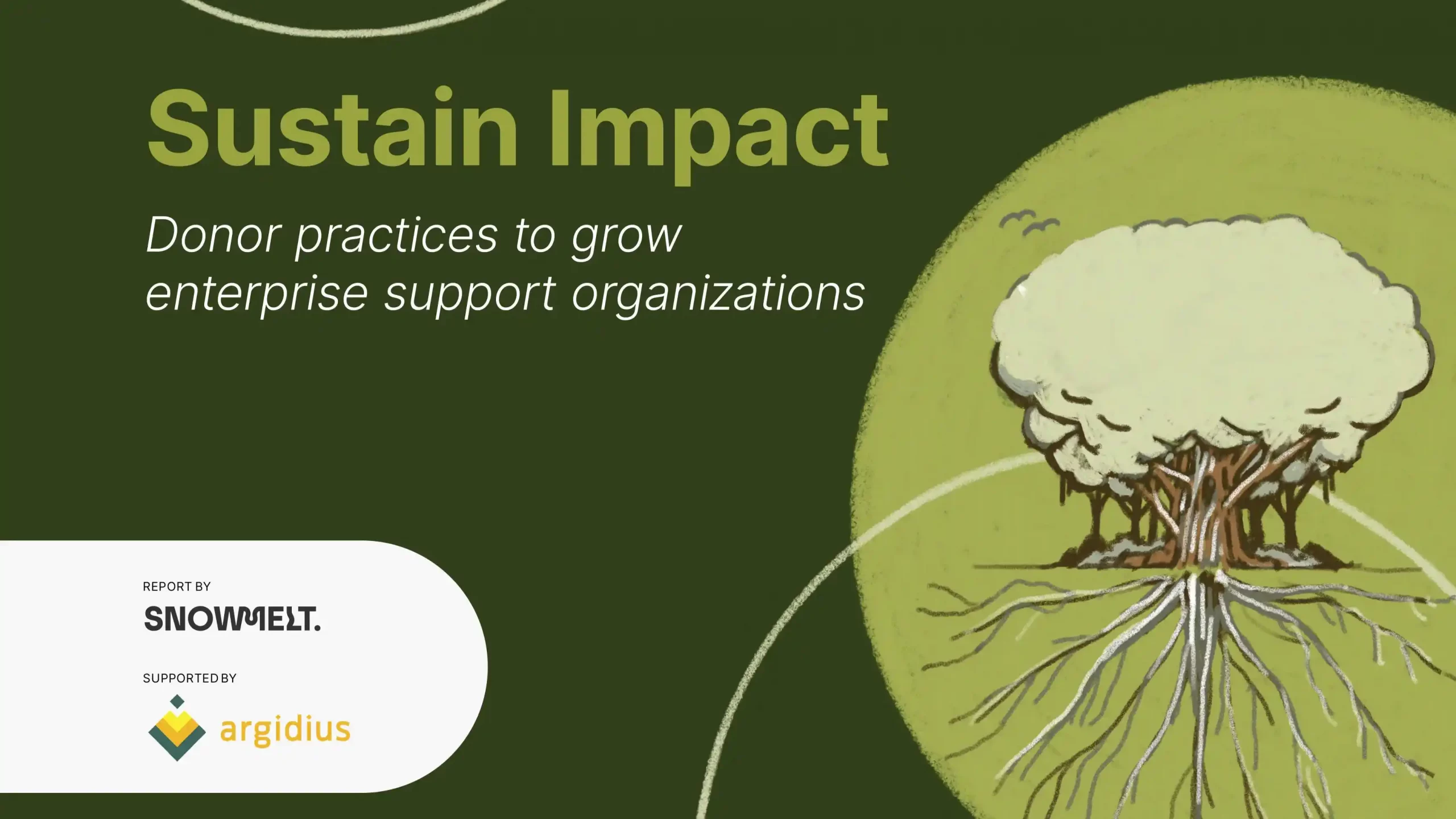 Argidius Foundation Report on Donor Practices to Grow Enterprise Support Organizations (ESOs)